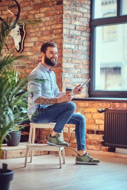 Çekici sakallı casual erkek 