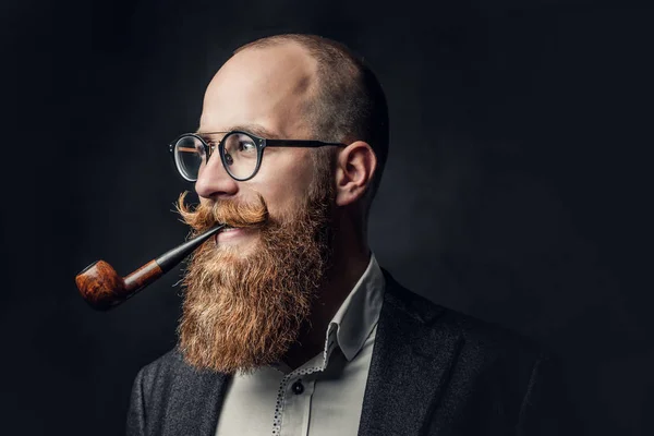 Retrato Cerca Cabeza Afeitada Aristocrático Macho Gafas Fumar Pipa Sobre — Foto de Stock