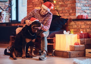 Çekici sakallı hippi erkek Noel dekorasyonu ile bir odada Rottweiler köpeğiyle.