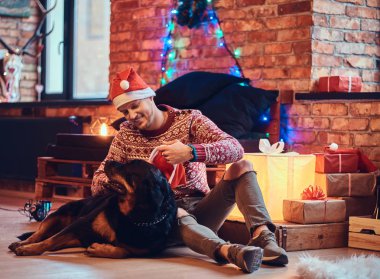 Sakallı hippi erkek çekici ile onun Rottweiler köpek Noel dekorasyonu ile bir odada bir katta oturur.