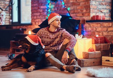 Sakallı hippi erkek çekici ile onun Rottweiler köpek Noel dekorasyonu ile bir odada bir katta oturur.