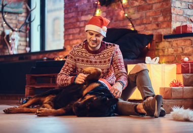 Sakallı hippi erkek çekici ile onun Rottweiler köpek Noel dekorasyonu ile bir odada bir katta oturur.