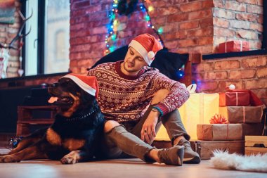Sakallı hippi erkek çekici ile onun Rottweiler köpek Noel dekorasyonu ile bir odada bir katta oturur.