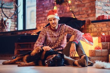 Sakallı hippi erkek çekici ile onun Rottweiler köpek Noel dekorasyonu ile bir odada bir katta oturur.