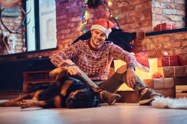 Sakallı hippi erkek çekici ile onun Rottweiler köpek Noel dekorasyonu ile bir odada bir katta oturur.