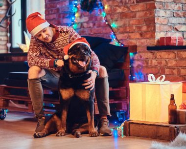 Çekici sakallı hippi erkek Noel dekorasyonu ile bir odada Rottweiler köpeğiyle.
