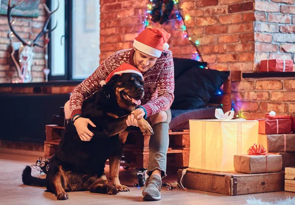 Çekici Sakallı Hippi Erkek Noel Dekorasyonu Ile Bir Odada Rottweiler — Stok fotoğraf