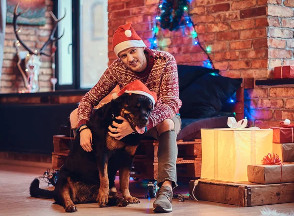 Attractive Bearded Hipster Male His Rottweiler Dog Room Christmas Decoration — Stock Photo, Image