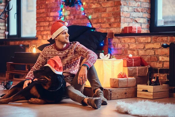 Sakallı hippi erkek çekici ile onun Rottweiler köpek Noel dekorasyonu ile bir odada bir katta oturur.