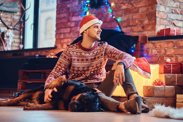Sakallı hippi erkek çekici ile onun Rottweiler köpek Noel dekorasyonu ile bir odada bir katta oturur.