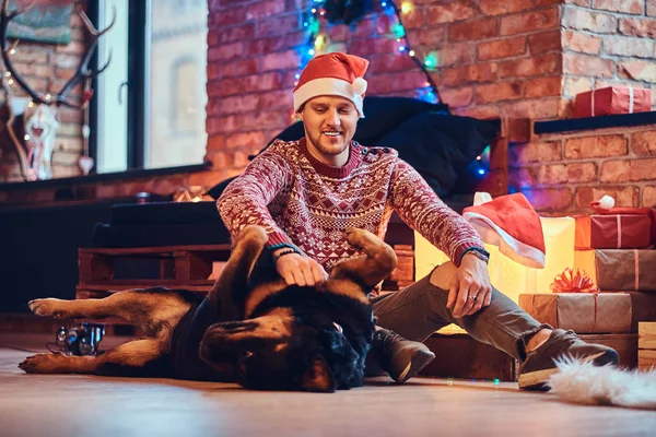 クリスマスの装飾の部屋に彼はロットワイラー犬を床に座っている男性の魅力的なひげを生やしたヒップスター — ストック写真