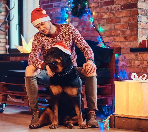 Çekici sakallı hippi erkek Noel dekorasyonu ile bir odada Rottweiler köpeğiyle.