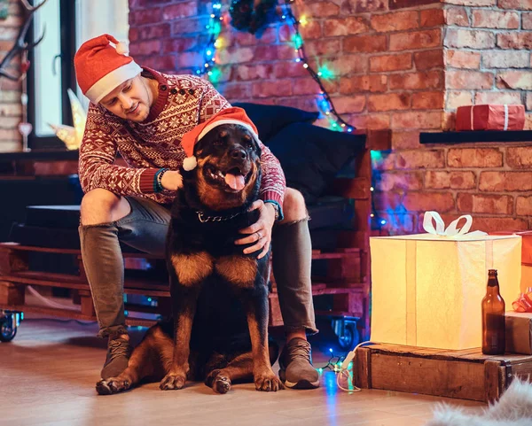 Привлекательный Бородатый Хипстер Мужчина Своей Собакой Ротвейлером Комнате Рождественским Декором — стоковое фото