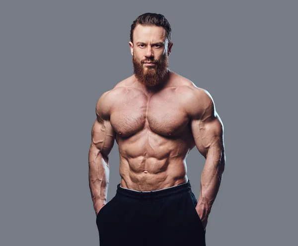 Portrait Bodybuilder Torse Barbu Sur Fond Gris — Photo