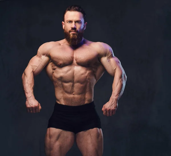 Porträtt Skäggiga Shirtless Bodybuilder Över Grå Bakgrund — Stockfoto