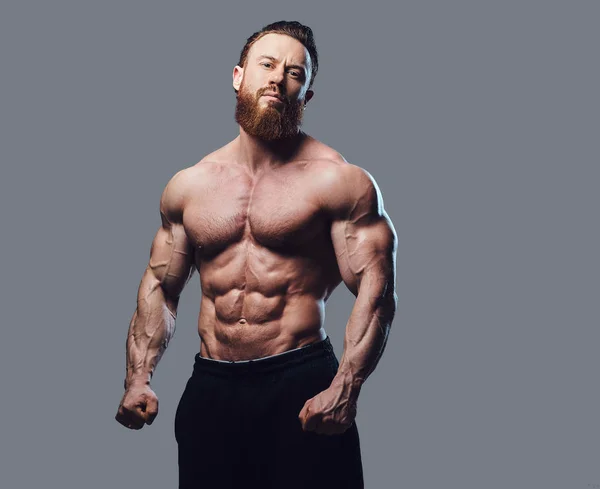 Porträt Eines Bärtigen Hemdlosen Bodybuilders Vor Grauem Hintergrund — Stockfoto