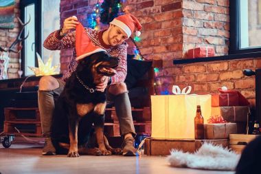 hippi erkek Rottweiler köpeğiyle