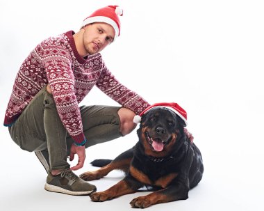 Rottweiler köpeğiyle beyaz izole bir yün kazak ve Santa şapka giymiş bir adam.