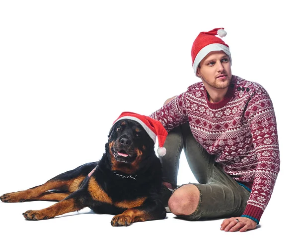 白で隔離のロットワイラー犬をウールのセーターとサンタの帽子で服を着た男 — ストック写真
