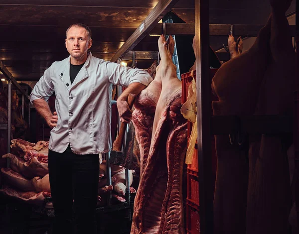 The butcher dressed in a white kitchen robe works in a meat freezer storage factory.