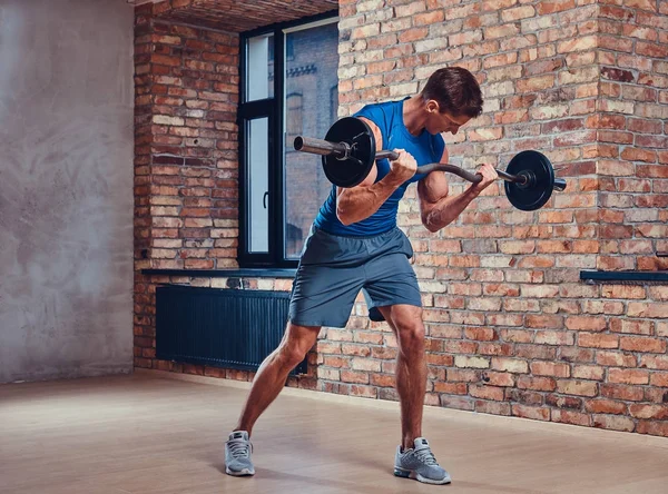 Muscular Male Doing Biceps Exercises Barbell Club Loft Interior — Stock Photo, Image