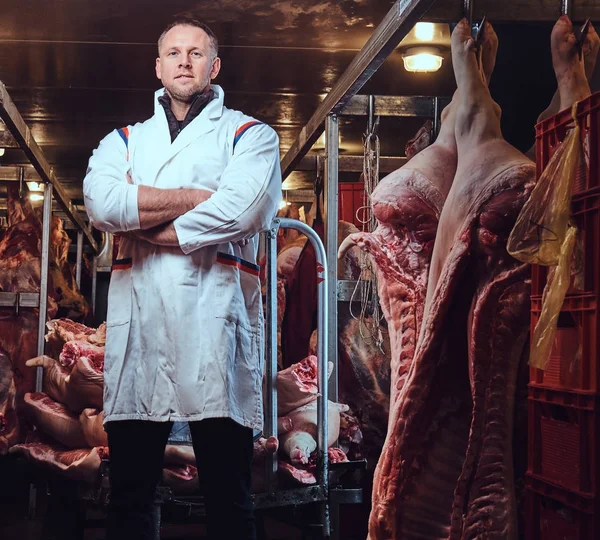 Portrait of a butcher in a white robe with crossed arms in a meat freezer storage.