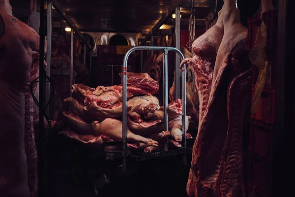 Frozen pork meat in a factory storage.