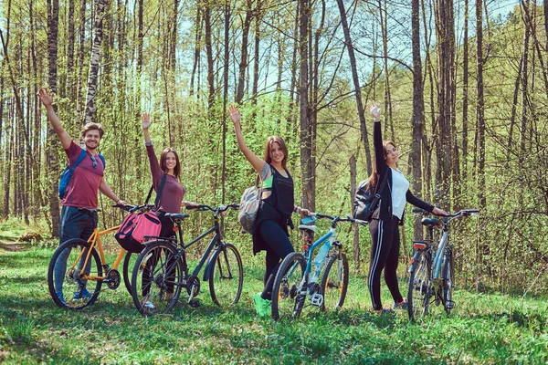 Active friends walk with bikes at forest in spring.