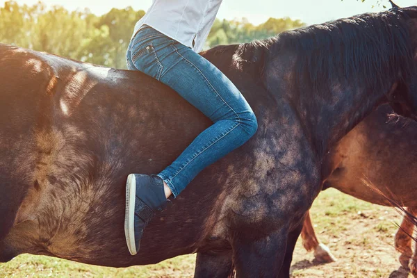 Uma Mulher Blusa Jeans Montando Cavalo Marrom Campo — Fotografia de Stock