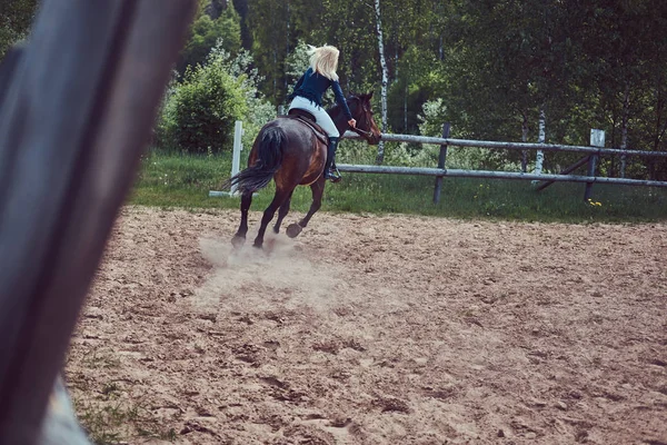 Charming Blonde Jockey Riding Brown Horse Pen — Stock Photo, Image