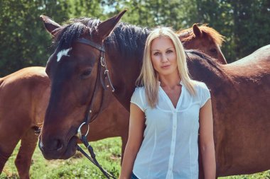 Beyaz bir bluz ve bir kırsal bir atı ile ayakta kot giyen sevimli güzel sarışın.