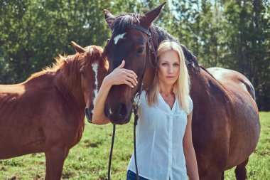 Beyaz bir bluz ve yeşil bir alana bir at sarılma kot giyen sevimli güzel sarışın.