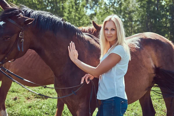 Okouzlující Krásná Blondýna Nosí Bílé Košile Džíny Koněm Přírodě — Stock fotografie