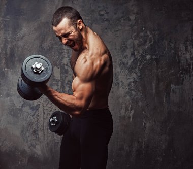 Stüdyo sakallı bir vahşi erkek portresi. Gri bir arka plan üzerinde izole.