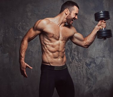 Stüdyo sakallı bir vahşi erkek portresi. Gri bir arka plan üzerinde izole.