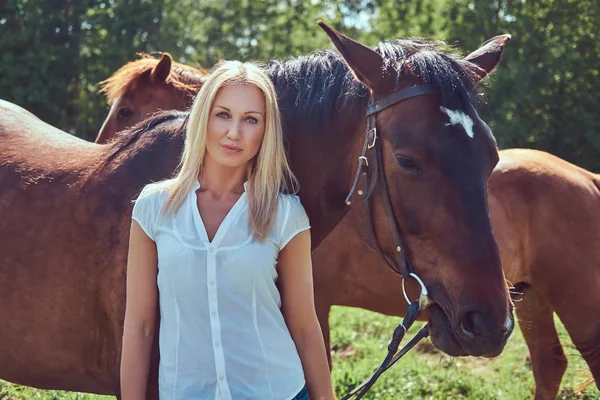 Charming Beautiful Blonde Wearing White Blouse Jeans Standing Horse Countryside — Stock Photo, Image