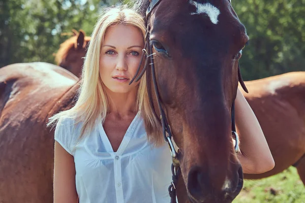 Okouzlující Krásná Blondýna Nosí Bílé Košile Džíny Objímání Koně Zeleném — Stock fotografie