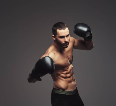 Stüdyo portre gömleksiz acımasız atletik boksör gri arka plan üzerinde siyah boks eldivenli.