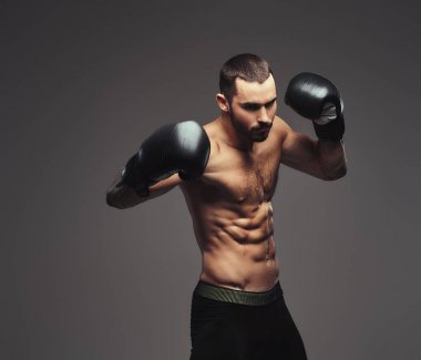 Stüdyo portre gömleksiz acımasız atletik boksör gri arka plan üzerinde siyah boks eldivenli.