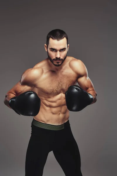 Studiový Portrét Shirtless Brutální Sportovní Boxer Černé Boxerské Rukavice Šedém — Stock fotografie