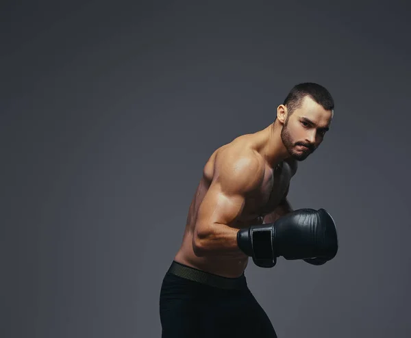 Studioporträt Eines Hemdlosen Brutalen Athletischen Boxers Mit Schwarzen Boxhandschuhen Auf — Stockfoto