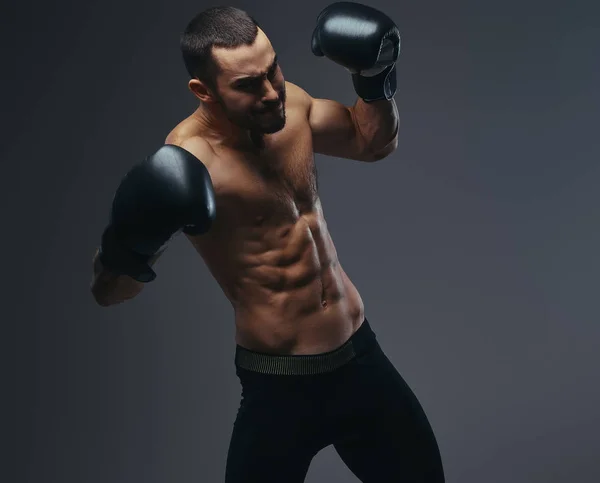 Brutal Shirtless Caucasian Sportsman Boxing Gloves Training Isolated Gray Background — Stock Photo, Image