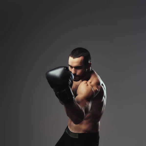 Brutal Shirtless Caucasian Sportsman Boxing Gloves Training Isolated Gray Background — Stock Photo, Image