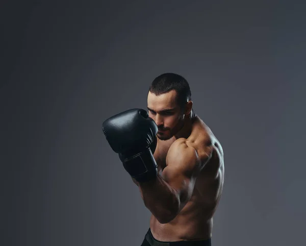 Brutal Shirtless Caucasian Sportsman Boxing Gloves Training Isolated Gray Background — Stock Photo, Image