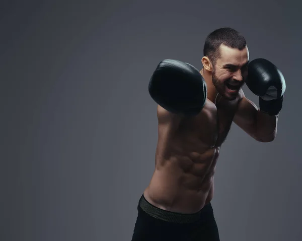 Ein Brutaler Kaukasischer Sportler Boxhandschuhen Der Isoliert Auf Grauem Hintergrund — Stockfoto