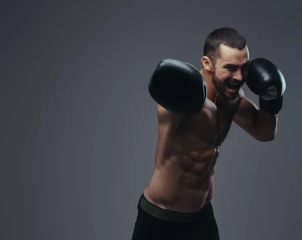 Een Brutale Shirtless Kaukasische Sportman Training Bokshandschoenen Geïsoleerd Een Grijze — Stockfoto