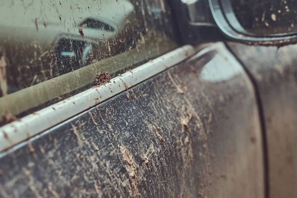 Close-up image of a dirty car after a trip off-road. Side mirror
