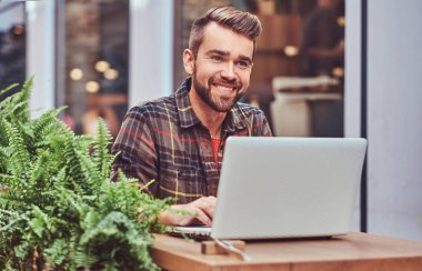 Şık saç ve sakal, gülümseyen genç freelance portresi giyinmiş bir kafe mekanlarda oturan bir dizüstü bilgisayar üzerinde çalışan bir Polar gömlek.