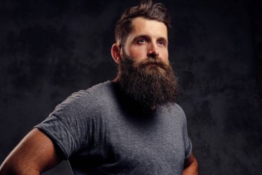 Karanlık bir arka plan üzerinde bir stüdyoda bir hipster tam sakal ve gri bir t-shirt giymiş şık saç kesimi ile yakın çekim portre standları.