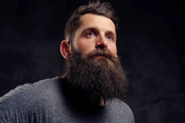 Close-up portrait of a hipster with full beard and stylish haircut, dressed in a gray t-shirt, stands in a studio on a dark background.